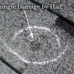 shingle_damage